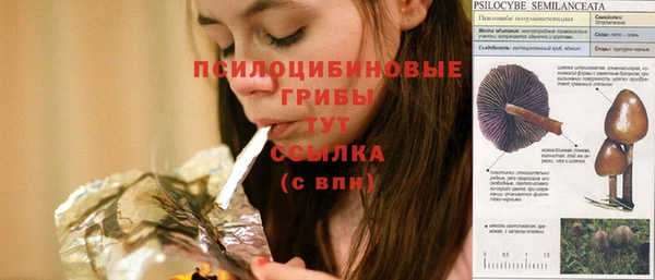 MESCALINE Арсеньев